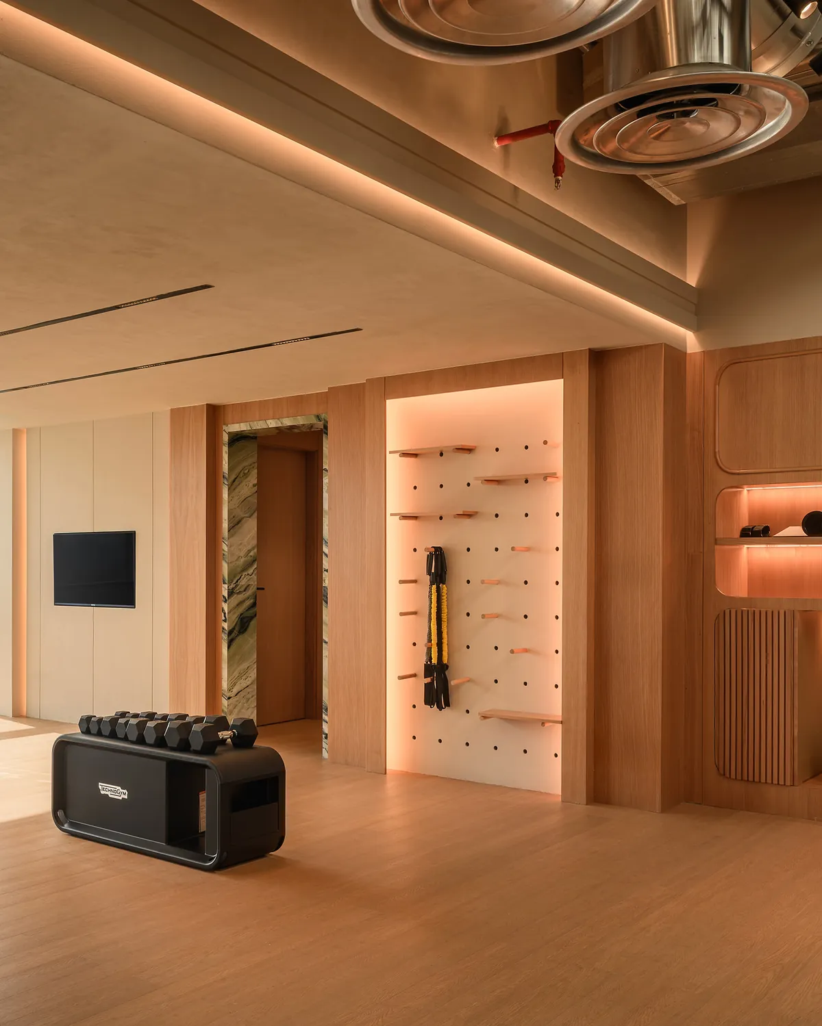 The Z House gym: warm oak walls, a backlit training wall and a Technogym dumbbell rack.